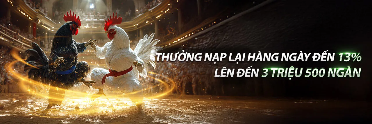 Đá gà trực tuyến xin88 xin